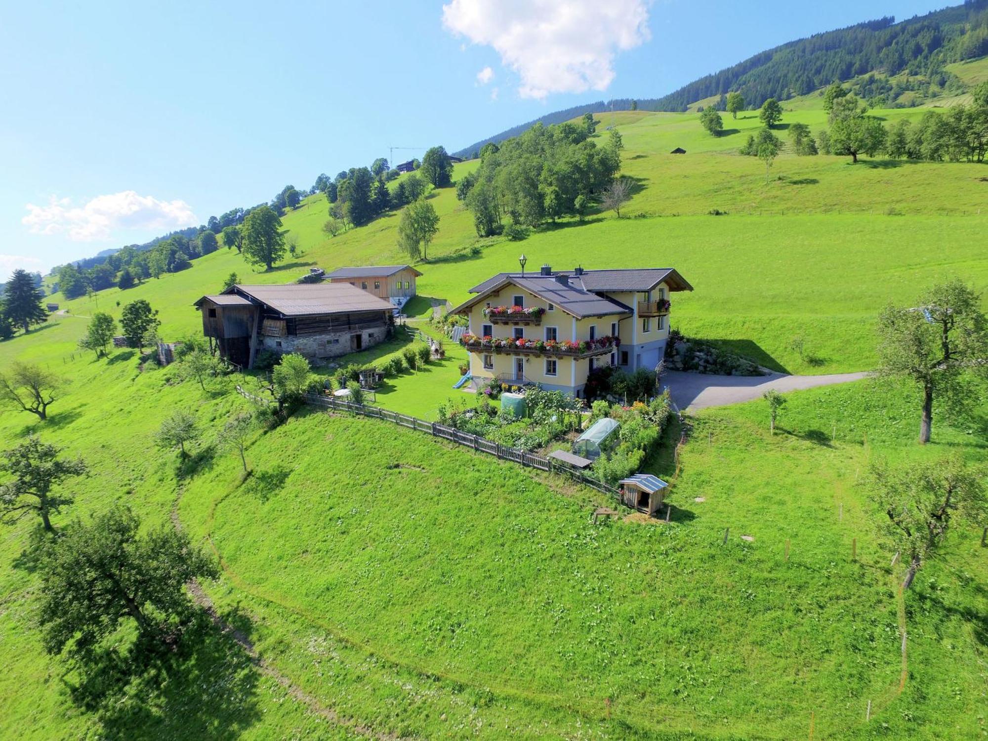 Cosy Holiday Flat In A Farmhouse Taxenbach Bagian luar foto